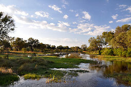 Khwai River