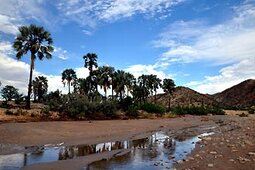 Khumib Riverbed Trail